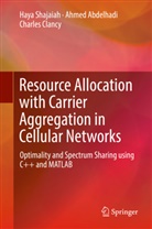 Ahme Abdelhadi, Ahmed Abdelhadi, Charles Clancy, Hay Shajaiah, Haya Shajaiah - Resource Allocation with Carrier Aggregation in Cellular Networks