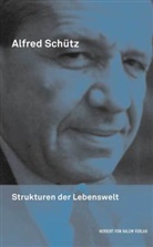 Alfred Schütz, Marti Endress, Martin Endress, Richard Grathoff, Klimasch, Klimasch... - Werkausgabe (ASW) - 9: Strukturen der Lebenswelt