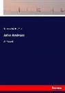 Rebecca Harding Davis - John Andross
