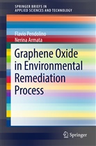 Nerina Armata, Flavi Pendolino, Flavio Pendolino - Graphene Oxide in Environmental Remediation Process