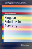 Sergei Alexandrov - Singular Solutions in Plasticity