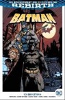 David Finch, Mikel Janin, To King, Tom King, Ivan Reis, Tom Snyder - Batman, Serie 2 - Ich bin Gotham