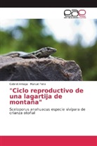 Gabrie Arriaga, Gabriel Arriaga, Manuel Feria - "Ciclo reproductivo de una lagartija de montaña"