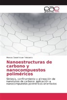 Marcos Daniel Vozer Felisberto - Nanoestructuras de carbono y nanocompuestos poliméricos