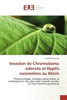 André Boya Aboh - Invasion de Chromolaena odorata et Hyptis suaveolens au Bénin