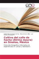 Manue García Ulloa, Manuel García Ulloa, Andrés Martí Góngora Gómez, Andrés Martín Góngora Gómez, Juan Antonio Hernández S. - Cultivo del callo de hacha (Atrina maura) en Sinaloa, México