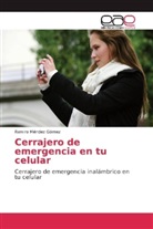 Ramiro Méndez Gómez - Cerrajero de emergencia en tu celular