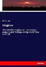 Paulus, Dr Paulus - Magicon