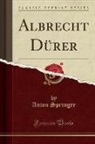 Anton Springer - Albrecht Dürer (Classic Reprint)