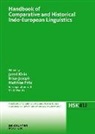 Matthias Fritz, Bria Joseph, Brian Joseph, Jared Klein - Handbook of Comparative and Historical Indo-European Linguistics