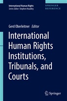 Ger Oberleitner, Gerd Oberleitner - International Human Rights Institutions, Tribunals: International Human Rights Institutions, Tribunals, and Courts