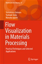 Manabu Iguchi, Yoshiak Ueda, Yoshiaki Ueda, Tomomas Uemura, Tomomasa Uemura - Flow Visualization in Materials Processing