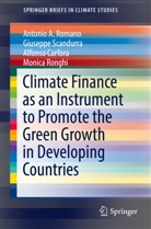 Alf Carfora, Alfonso Carfora, Antonio Romano, Antonio A Romano, Antonio A. Romano, Monica Ronghi... - Climate Finance as an Instrument to Promote the Green Growth in Developing Countries
