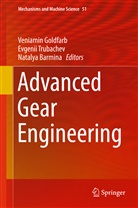 Natalya Barmina, Veniamin Goldfarb, Eugeniy Trubachev, Evgeni Trubachev, Evgenii Trubachev - Advanced Gear Engineering