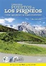 Antonio Toral Pérez - Grandes puertos de los Pirineos