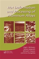 Enrico Evangelista, Enrico (University of Ancona Evangelista, Evangelista Enrico, Michael E. Kassner, Michael E. (University of Southern California Kassner, Kassner Michael E.... - Hot Deformation and Processing of Aluminum Alloys