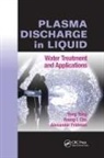 Young I. Cho, Alexander Fridman, Yong Yang, Yong Cho Yang, Yang Yong - Plasma Discharge in Liquid