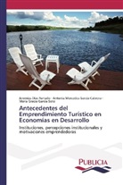 Jeremias Dias Furtado, Antonia Mer García Cabrera, Antonia Mercedes García Cabrera, María Gracia García Soto - Antecedentes del Emprendimiento Turístico en Economías en Desarrollo