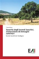 Tonino Mulas - Severità degli incendi boschivi, elaborazione di immagini satellitari