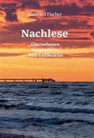 Manfried Fischer, Manfried Fischer - Nachlese
