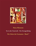 Harry Eilenstein - Tyr in der Unterwelt - Der Zwergenkönig