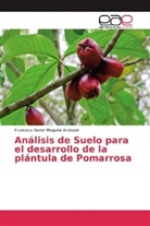 Francisco Xavier Magaña Andrade - Análisis de Suelo para el desarrollo de la plántula de Pomarrosa