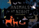Eve Bodeux, Delphine Chedru, Anne Jankaeliowitch, Anne Jankeliowitch, Anne Jankéliowitch, Delphine Chedru... - Animals at Night