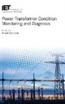 Ahmed Abu-Siada, Ahmed (Associate Professor Abu-Siada - Power Transformer Condition Monitoring and Diagnosis