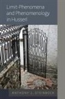 Anthony J. Steinbock, Steinbock Anthony J. - Limit-Phenomena and Phenomenology in Husserl