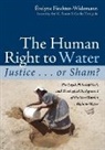 Evelyne Fiechter-Widemann - The Human Right to Water: Justice . . . or Sham?