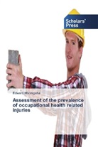 Edward Mbonigaba - Assessment of the prevalence of occupational health related injuries