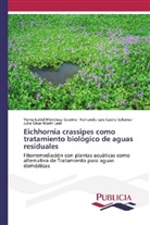 Ferna Castro Echavez, Fernando Luis Castro Echavez, Julio César Marín Leal, Yoma Isabe Mendoza Guerrra, Yoma Isabel Mendoza Guerrra - Eichhornia crassipes como tratamiento biológico de aguas residuales