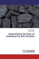 Zdenek Bittnar, Usma Haider, Usman Haider - Determining the Role of Individual Fly Ash Particles