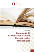 Bachir Ouari - Dynamique de l'aimantation dans les Nanoparticules magnétiques