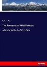 Edward Step - The Romance of Wild Flowers