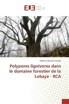 Mathurin Djamndo Djasbé - Polypores lignivores dans le domaine forestier de la Lobaye - RCA