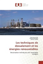 Fatim Ait Nouh, Fatima Ait Nouh, Yassmin Janah, Yassmine Janah, Ahmed Kettab - Les techniques de dessalement et les énergies renouvelables