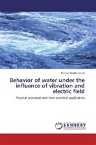 Michael Shoikhedbrod - Behavior of water under the influence of vibration and electric field