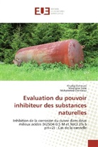 Mohamm Cherkaoui, Mohammed Cherkaoui, Khadij Dahmani, Khadija Dahmani, Mouhsin Galai, Mouhsine Galai - Evaluation du pouvoir inhibiteur des substances naturelles