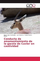 Jua Carranza, Juan Carranza, Marí López Quintanilla, María López Quintanilla, Moreno Mañ, Eulalia Moreno Mañas - Conducta de amamantamiento de la gacela de Cuvier en cautividad