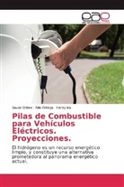 Henry Iza, Xavie Orbea, Xavier Orbea, Nil Ortega, Nilo Ortega - Pilas de Combustible para Vehículos Eléctricos Proyecciones