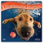 BrownTrout Publisher, Inc Browntrout Publishers, Browntrout Publishers (COR), Inc Browntrout Publishers - Underwater Puppies 2018 Calendar