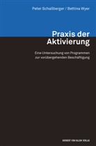 Pete Schallberger, Peter Schallberger, Bettina Wyer - Praxis der Aktivierung