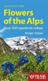 Ansgar Hoppe - A Field Guide to the Flowers of the Alps