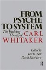 David P Kniskern, David P. Kniskern, John R Neill, John R. Neill - From Psyche to System