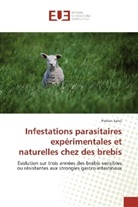 Florian Salvé - Infestations parasitaires expérimentales et naturelles chez des brebis