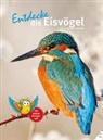 Thomas Schmidt - Entdecke die Eisvögel
