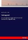 Washington Irving - Salmagundi