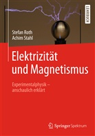 Stefa Roth, Stefan Roth, Achim Stahl - Elektrizität und Magnetismus