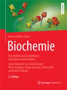 Oliv Anderka, Ulric Brandt, Ulrich Brandt, Werne Müller-Esterl, Werner Müller-Esterl - Biochemie